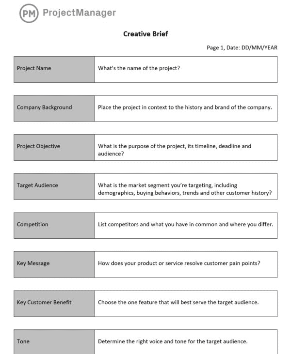 Example template from projectmanager.com